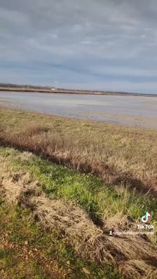 wp_story1678550588536_0